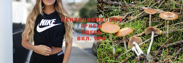 бошки Алзамай