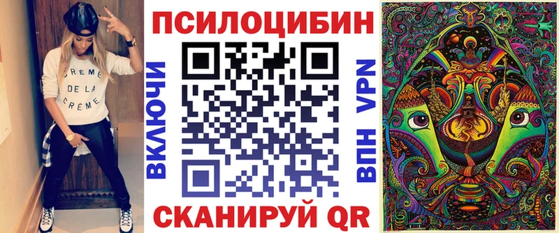 Галлюциногенные грибы Psilocybe купить kraken вход Изобильный