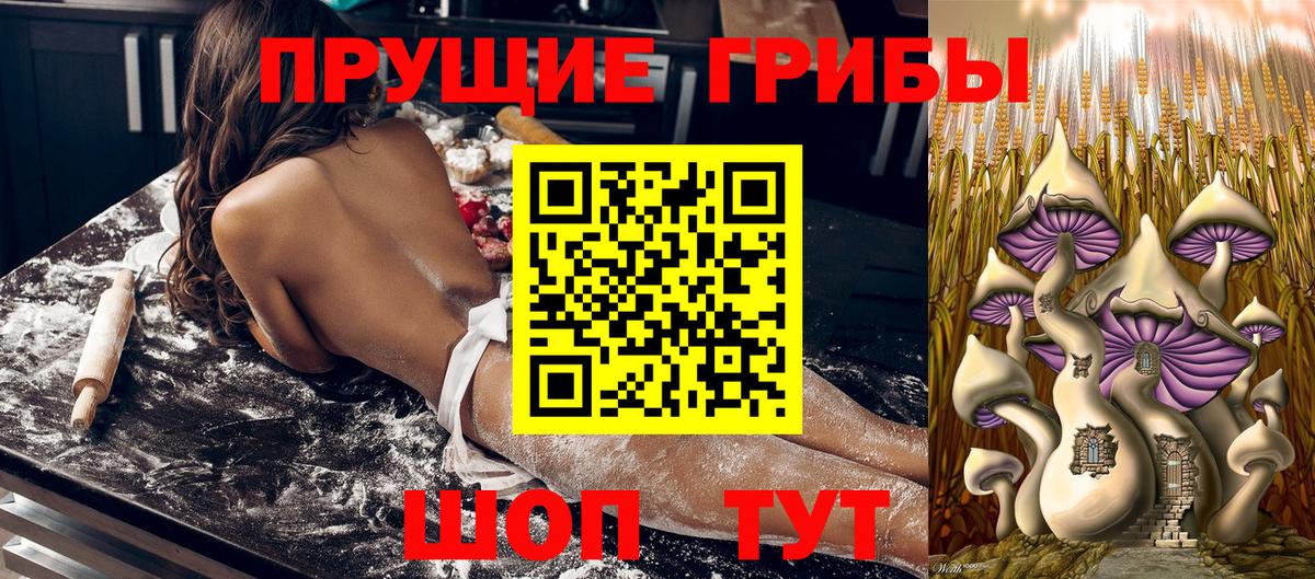 Изобильный  закладки  Вход с VPN  Псилоцибиновые грибы MAGIC MUSHROOMS  Псилоцибиновые грибы Psilocybine cubensis 