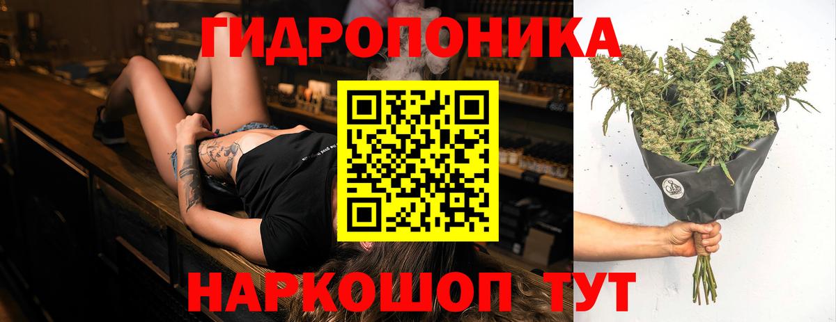 Конопля OG Kush Изобильный